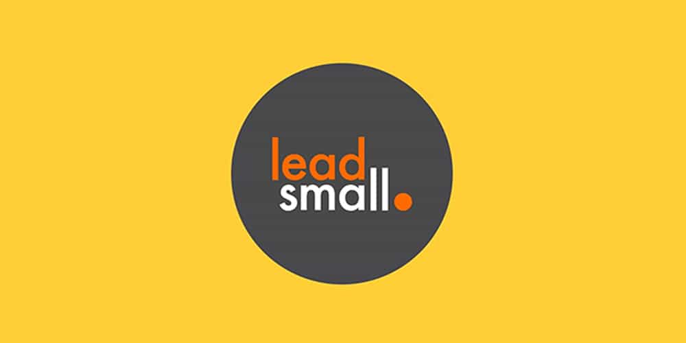 The Lead Small Strategy